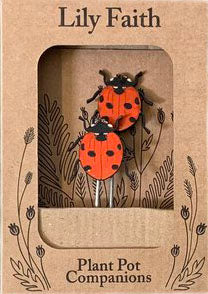 Ladybug Plant Pot Companions