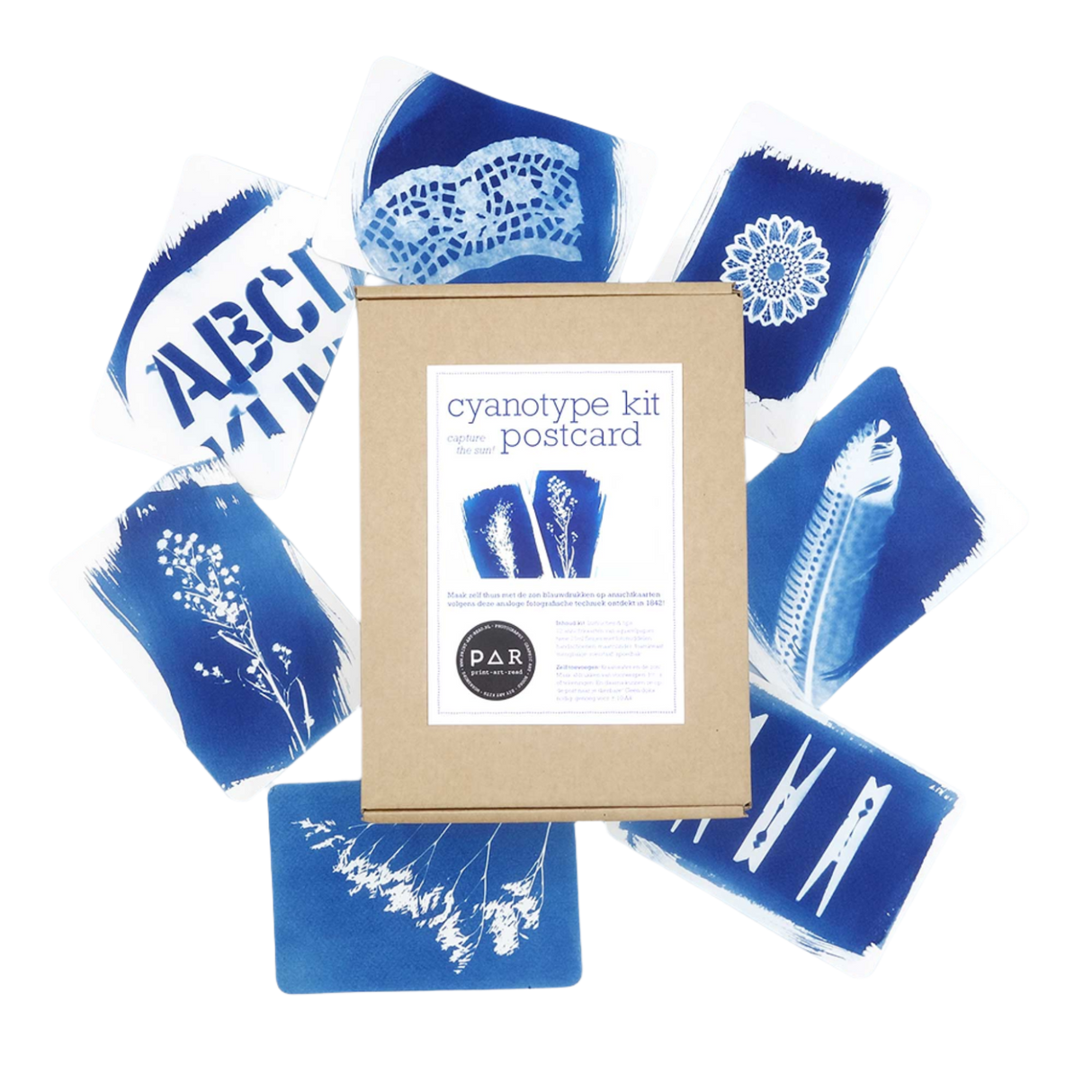 DIY Cyanotype Postcard Kit