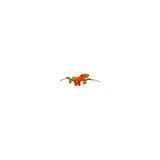 Crochet Nasturtium Bracelet
