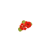 Crochet Nasturtium Bloom Cluster Brooch