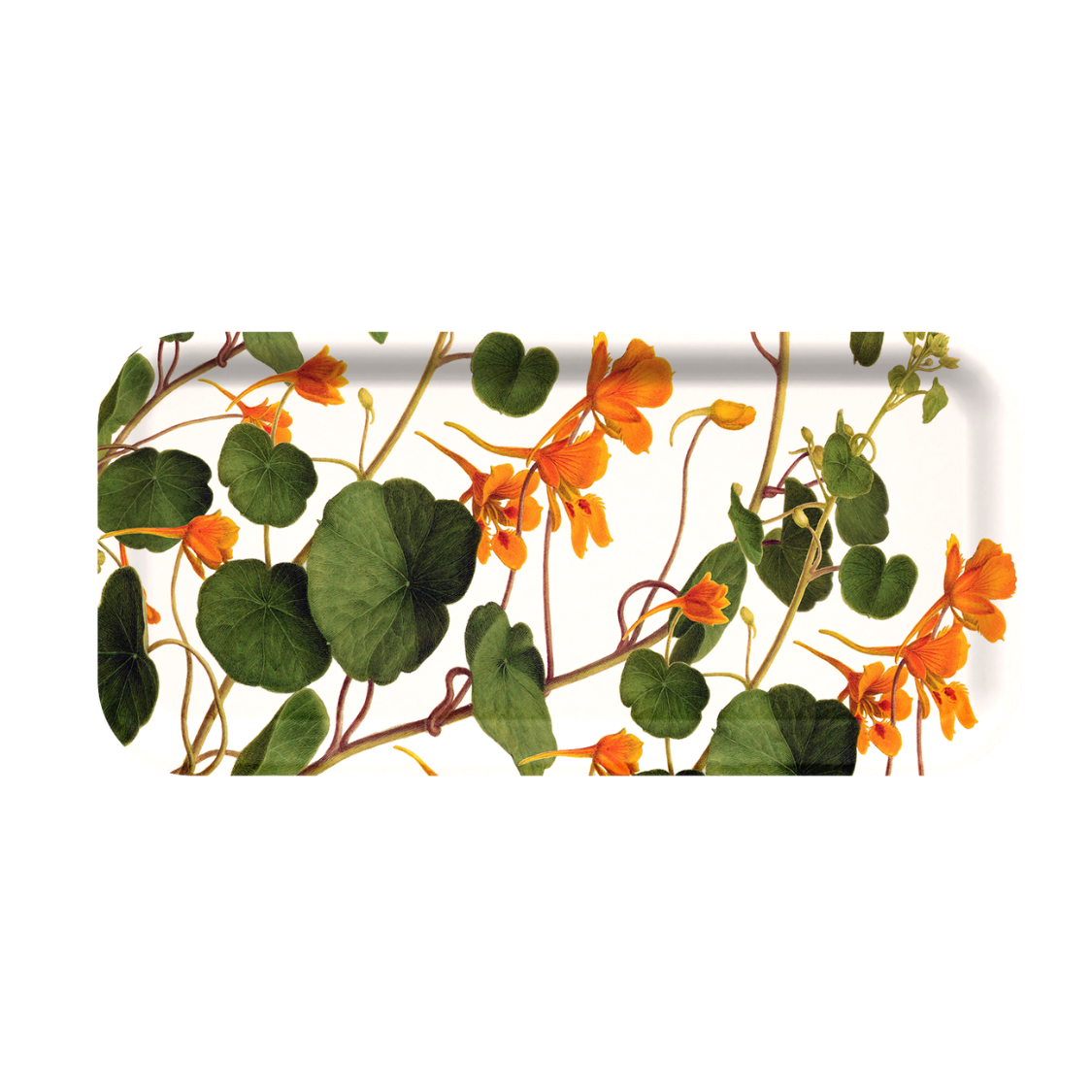 Nasturtium Tray