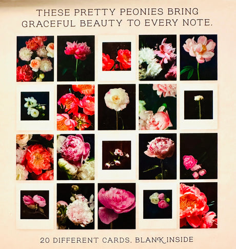 Pretty Peonies Boxed Notecards