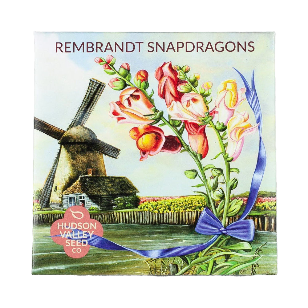 Rembrandt Snapdragon Seed Packet