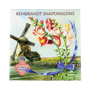 Rembrandt Snapdragon Seed Packet