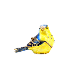 Bejeweled Blue & Yellow Sparrow Box