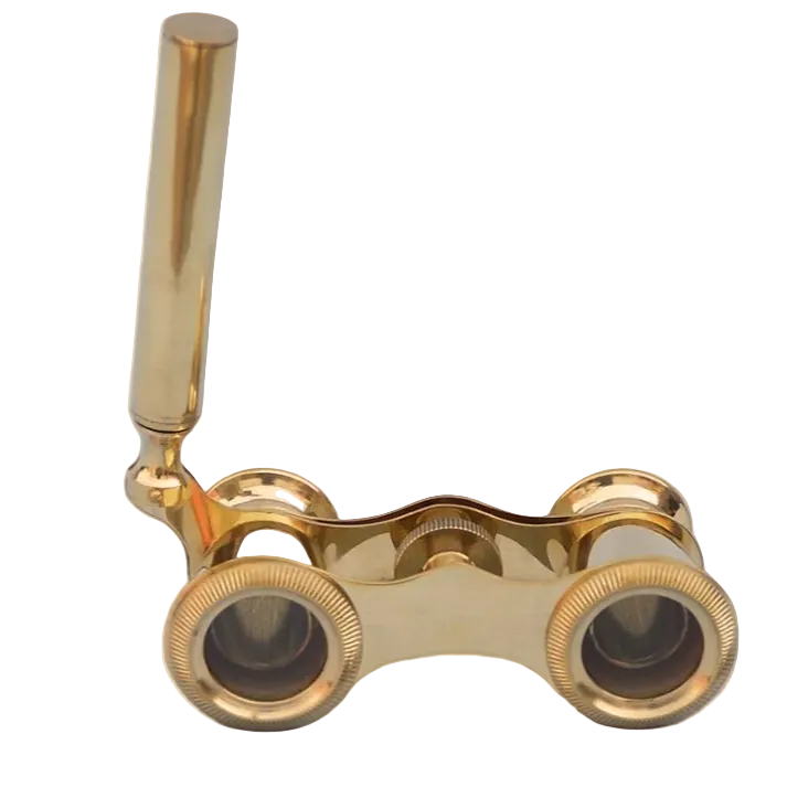 Brass Binoculars