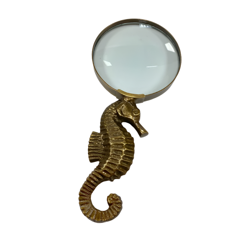 Seahorse Magnifying Glass