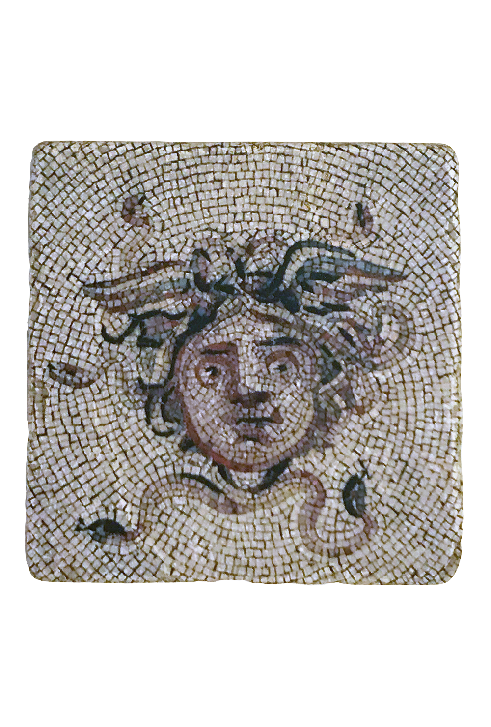 Medusa Face Coaster