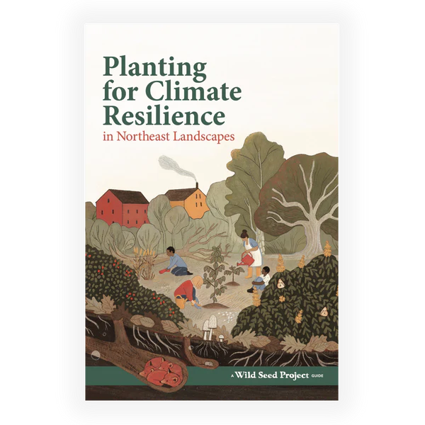 Planting for Climate Resilience in Northeast Lands