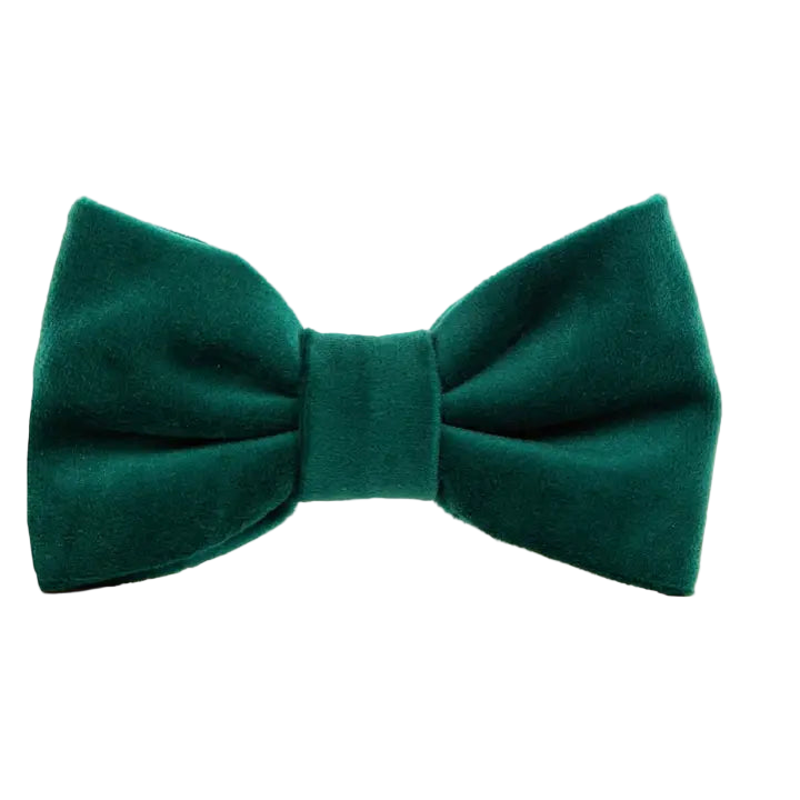 Velvet Bow Tie Dog Collar Adornment
