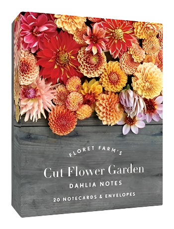 Floret Farm's Cut Flower Garden: Dahlia Notes