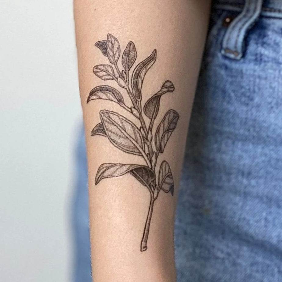 Sage Sprig Temporary Tattoo