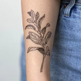 Sage Sprig Temporary Tattoo