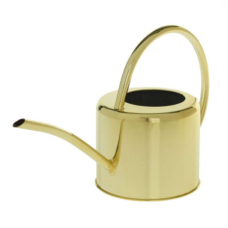 Gold Watering Can