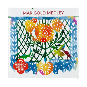 Marigold Medley Seed Packet