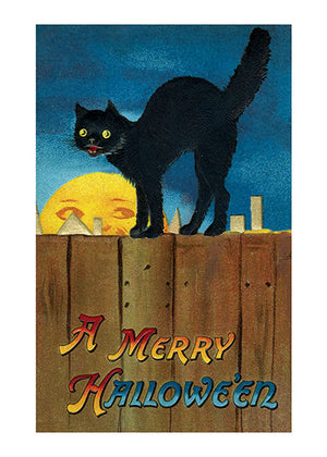 Black Cat on the Fence Print