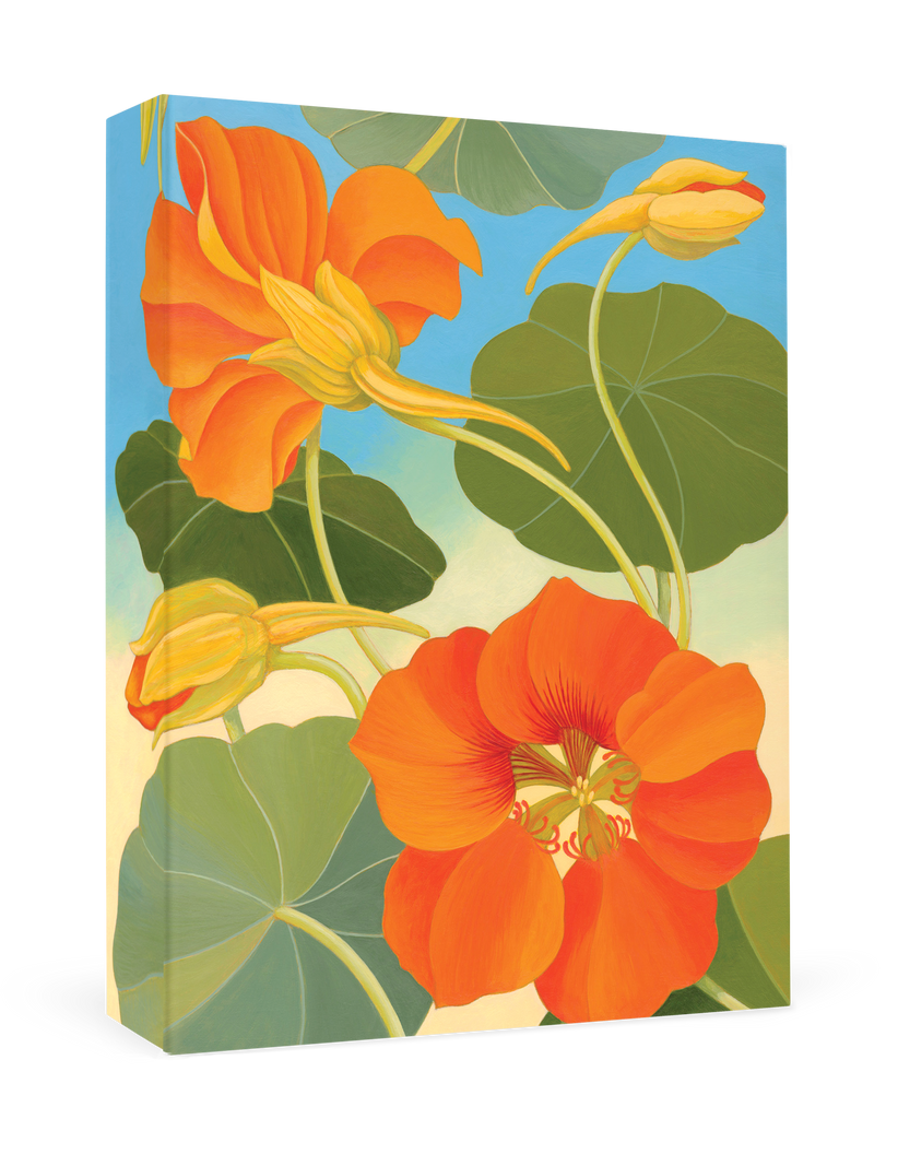 Nasturtium Boxed Thank You Card Set