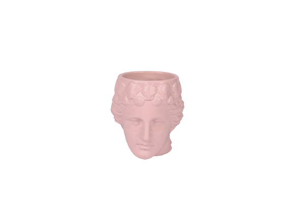 Pink Venus Mug