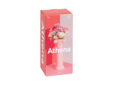 Athena Vase in Pink