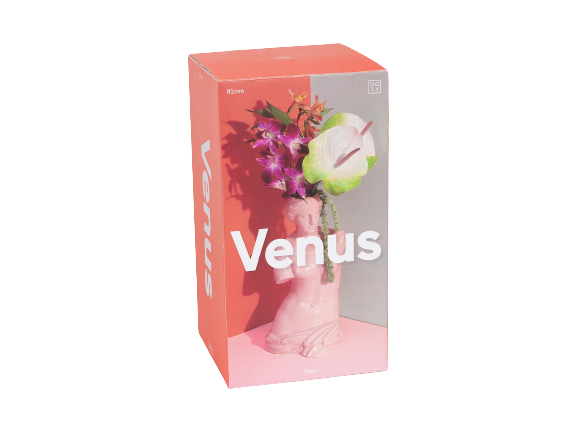 Venus Vase in Pink