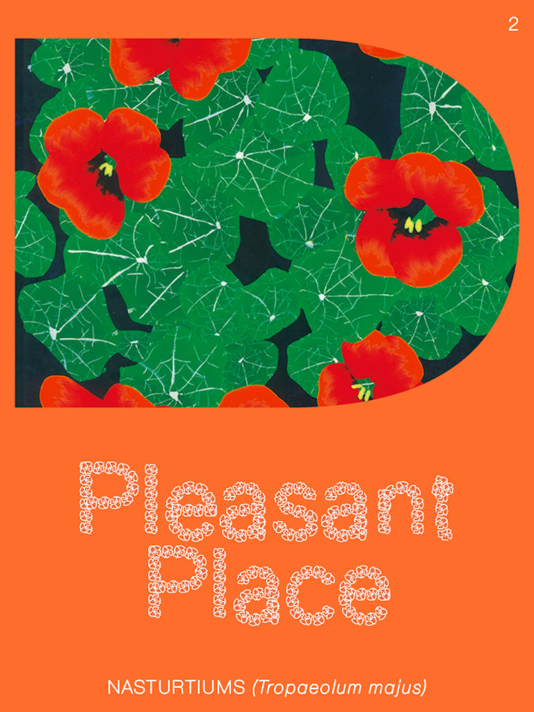 Pleasant Place 2: Nasturtiums