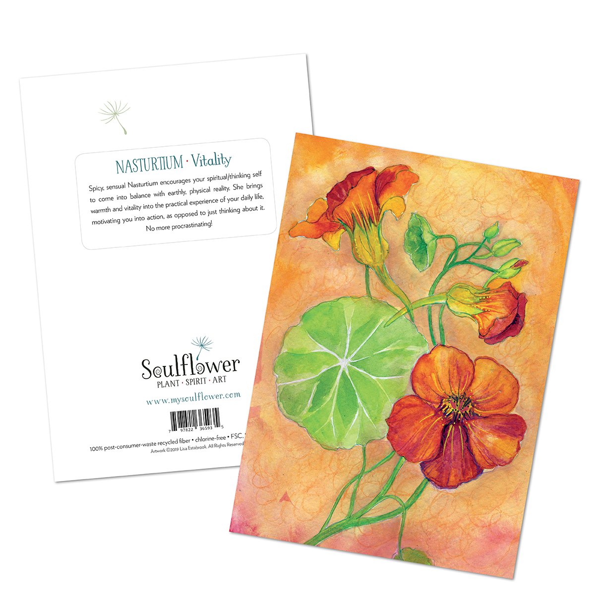 Orange Nasturtium Single Greeting Card