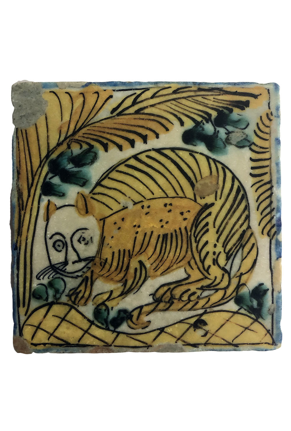 Mexican Coaster: Weird Cat