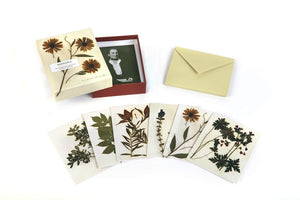 Herbaria: Pressed Plant Collection Notecards
