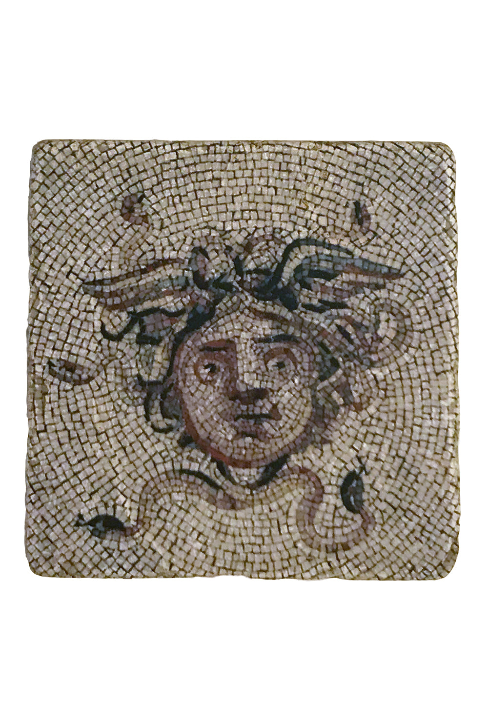 Medusa Face Coaster